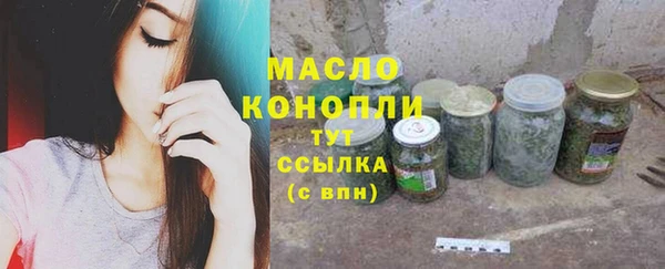 mdpv Инта