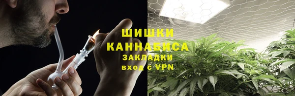 mdpv Инта