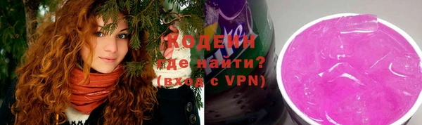 не бодяженный Иннополис