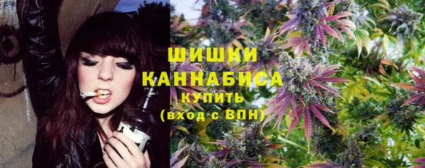 не бодяженный Иннополис