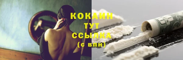 mdpv Инта