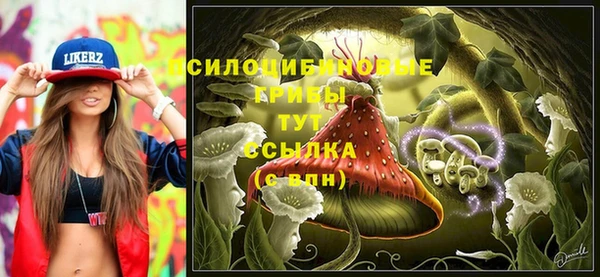 не бодяженный Иннополис