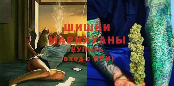 a pvp Инсар