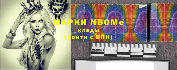 a pvp Инсар