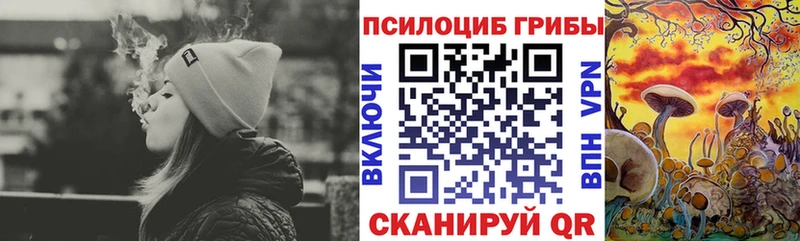 Купить закладки  Егорьевск  Псилоцибиновые грибы мухоморы 